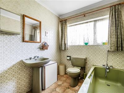 Picture 20
